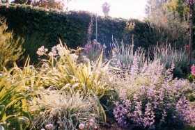 Sorenson-Group-custom-landscaping-in-Ventura-County-029