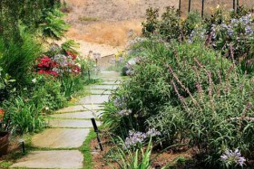 Sorenson-Group-custom-landscaping-in-Ventura-County-043