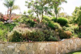 Sorenson-Group-custom-landscaping-in-Ventura-County-044