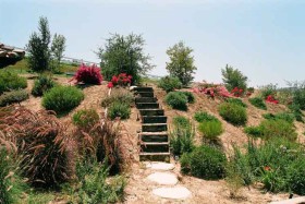 Sorenson-Group-custom-landscaping-in-Ventura-County-046