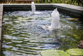 pool-with-fountain-and-lilypads