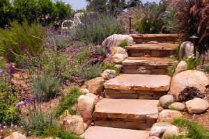outdoor staircase in landscaped garden