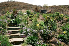 Sorenson-Group-custom-landscaping-in-Ventura-County-042
